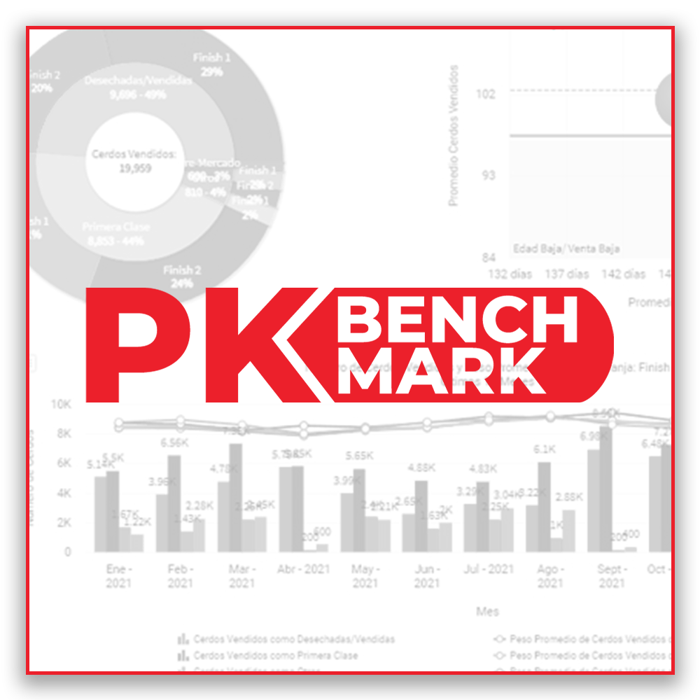 PK Bench Mark
