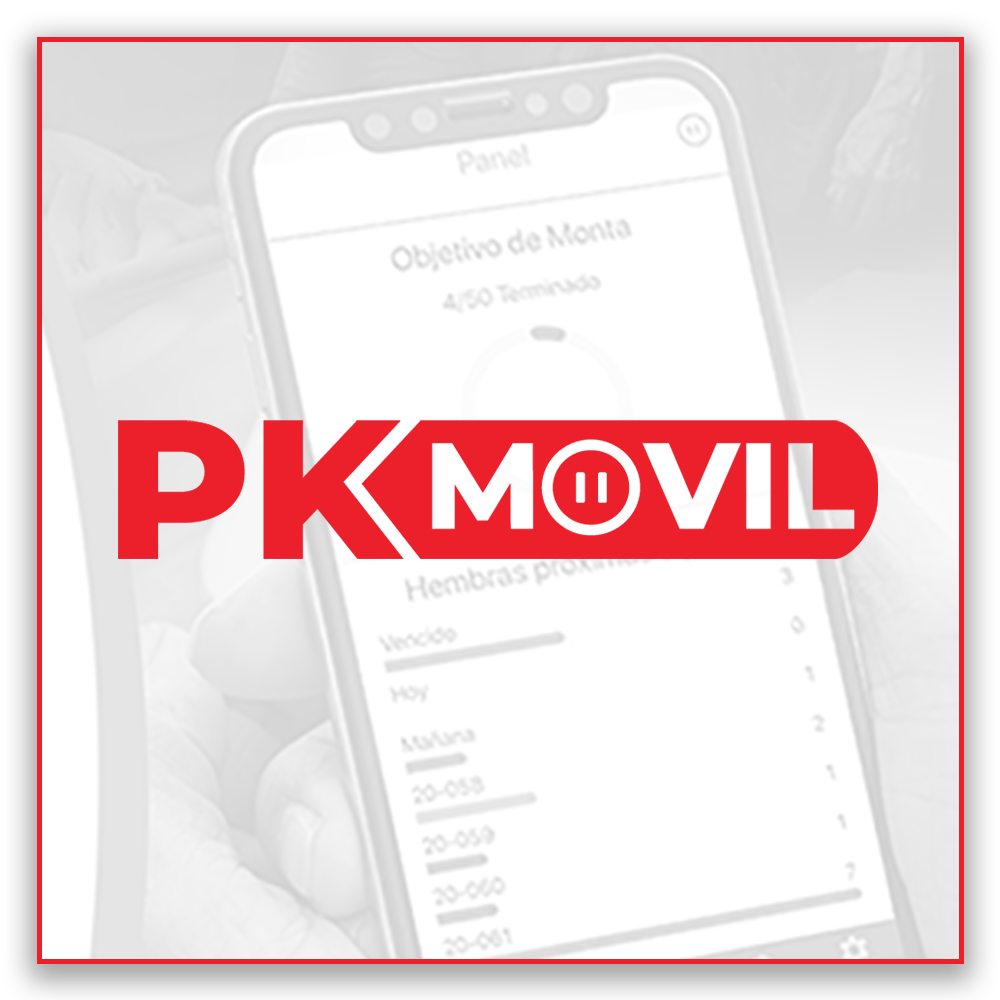 PK Movil